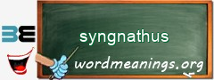 WordMeaning blackboard for syngnathus